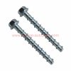 China Supplier M10 X 80mm Steel Galvanized Concrete Screw Anchor