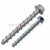 China Supplier M12 X 100mm Steel Galvanized Concrete Anchor Screw