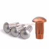 Wholesale Price M2 M2.5 M3 M4 Rivets For Name Plate Copper Round Head Knurled Solid Rivet