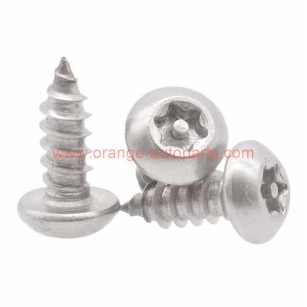 Factory Price M2 M3 M4 M5 M6 Stainless Steel 304 Pan Head Self Tapping Torx Screw