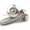 Factory Price M2 M3 M4 M5 M6 Stainless Steel 304 Pan Head Self Tapping Torx Screw