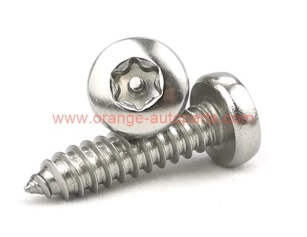 Factory Price M2 M3 M4 M5 M6 Stainless Steel 304 Pan Head Self Tapping Torx Screw