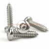 Factory Price M2 M3 M4 M5 M6 Stainless Steel 304 Torx Pan Head Safety Self Tapping Screw