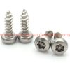 Factory Price M2 M3 M4 M5 M6 Stainless Steel 304 Torx Pan Head Safety Self Tapping Screw