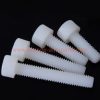 China Supplier M2 M3 M4 M5 White Black Pa66 Plastic Nylon Hexagon Socket Cap Screws