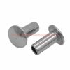 China Supplier M2 – M6 Stainless Steel Din 6791 Truss Head Semitubular Rivets