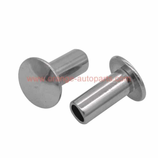 China Supplier M2 – M6 Stainless Steel Din 6791 Truss Head Semitubular Rivets