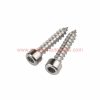 Wholesale Price M2-m6 Stainless Steel 304 Cup-head Hexagpn Socket Self Tapping Cap Screw