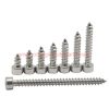 Wholesale Price M2-m6 Stainless Steel 304 Cup-head Hexagpn Socket Self Tapping Cap Screw