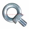 China Supplier M24 M36 M48 M64 M80 M100 Steel Galvanized Din 580 Lifting Eye Bolts