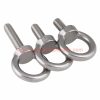 Wholesale Price M3 – M24 Din 580 Eyebolt Stainless Steel 304 Lifting Eye Bolt