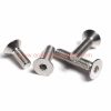 Factory Customized M3 M4 M5 M6 Din 7991 Stainless Steel 304 Hexagon Socket Countersunk Head Cap Screws