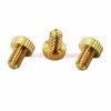 China Supplier M3 M4 M5 M6 M8 Brass Round Head Knurled Thumb Screw