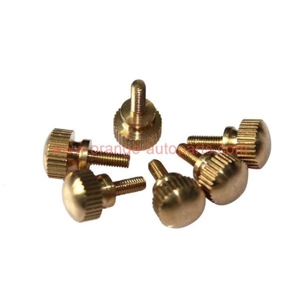 China Supplier M3 M4 M5 M6 M8 M10 Flat Round Head Brass Knurled Thumb Step Screw