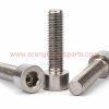 Factory Price M3 M4 M5 M6 M8 M10 M12 Din 912 Titanium Alloy Screw Ti Hexagon Socket Head Cap Screw