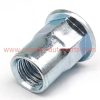 Factory Price M3 M4 M5 M6 M8 M10 M12 Zinc Plated Flat Round Head Open End Half Hexagon Rivet Nut