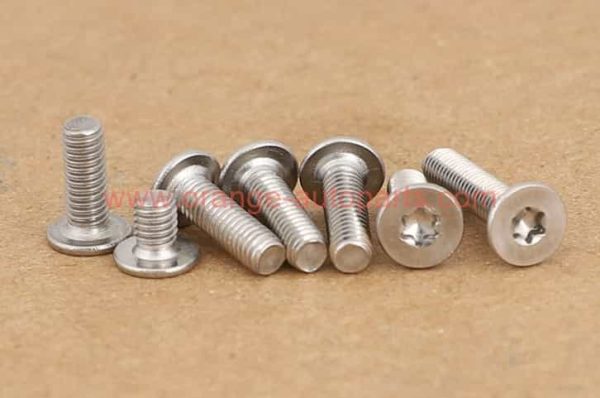 Factory Price M3 M4 M5 M6 M8 Stainless Steel 304 Ca Torx Flat Thin Head Machine Screw