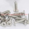 Wholesale Price M3 M4 M5 M6 Stainless Steel 304 Ca Cross Recessed Thin Flat Big Head Tapping Screw