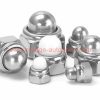 China Supplier M4 – M10 Din 986 Stainless Steel 304 Acorn Cap Dome Hex Nylon Insert Self Lock Nut Nylock Locknut