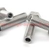 China Manufacturer M4 – M16 Stainless Steel 304 Hex Head Hollow Bolt With Wire Hole In Middle