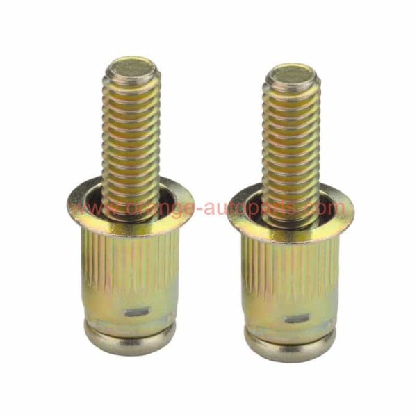 Factory Customized M4 M5 M6 M8 Steel Galvanized External Thread Stud Rivet Nuts