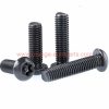 China Manufacturer M5 M6 M8 Black Color Torx Head Security Flat Head Star Screw