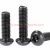 China Manufacturer M5 M6 M8 Black Color Torx Head Security Flat Head Star Screw