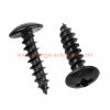 China Supplier M5 M6 M8 Black Oxide Cross Recessed Mushroom Head Tapping Screws