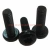 China Supplier M5 M6 M8 Black Oxide Torx Plus Self-tapping Screw