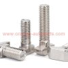 Factory Price M5 M6 M8 Din 186 Stainless Steel Hammer T-head Bolts With Square Neck