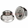 Factory Price M5 M6 M8 M10 M12 M14 M16 M20 Din 6923 Stainless Steel 304 Hexagon Nuts With Serrated Flange