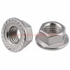 China Supplier M5 M6 M8 M10 M12 M14 M16 M20 Din 6923 Stainless Steel 304 Serrated Hexagon Flange Nut