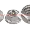 China Supplier M5 M6 M8 M10 M12 M14 M16 M20 Din 6923 Stainless Steel 304 Serrated Hexagon Flange Nut