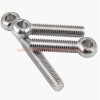 China Supplier M5 M6 M8 M10 M12 M16 M20 M24 Din 444 Eyebolts Stainless Steel 304 Flat Fish Eye Swing Bolt