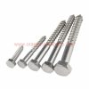 China Supplier M6 – M12 304 Stainless Steel Hex Tapping Screw Din571 Hexagon Head Wood Screw Bolt