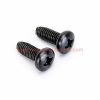 China Manufacturer M6 M8 M10 Black Zinc Stainless Steel 304 316 Pan Head Machine Screws