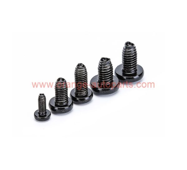 China Manufacturer M6 M8 M10 Black Zinc Stainless Steel 304 316 Pan Head Machine Screws