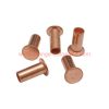 Wholesale Price M6 M8 M10 Copper Plated Flat Head Semi-tubular Rivets Brake Lining Rivets For Truck