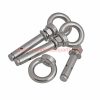 China Supplier M6 M8 M10 M12 M16 Stainless Steel 304/316 Lifting Eye Bolt Expansion Anchors