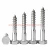 Wholesale Price M6 M8 M10 Stainless Steel Wood Screws Hex Head Self Tapping Coach Screws