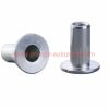 China Manufacturer M6 M8 Zinc Nickel Alloy Auto Rivnut Riveting Nut