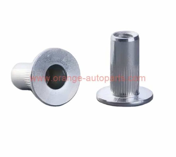 China Manufacturer M6 M8 Zinc Nickel Alloy Auto Rivnut Riveting Nut