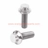 Factory Price Mj5 Mj6 Mj8 Mj10 Mj12 Din 65438 Titanium 12 Point Flange Bolts