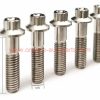 Factory Price Mj5 Mj6 Mj8 Mj10 Mj12 Din 65438 Titanium 12 Point Flange Bolts