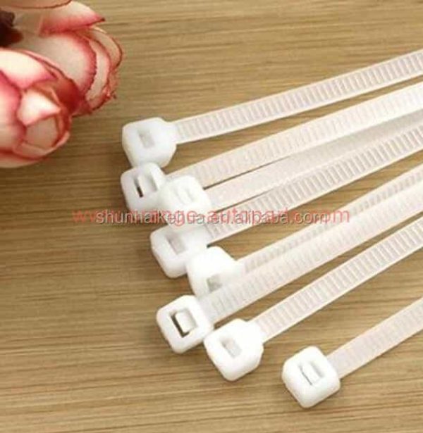 China Manufacturer Nylon 66 Self Locking Plastic Nylon Security Cable Ties Wrap