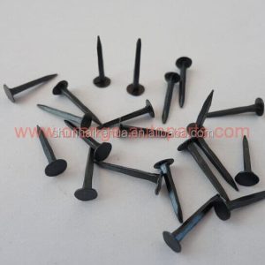 China Manufacturer Factory Price Of Five Star Carpet Tack Nail For Furniture