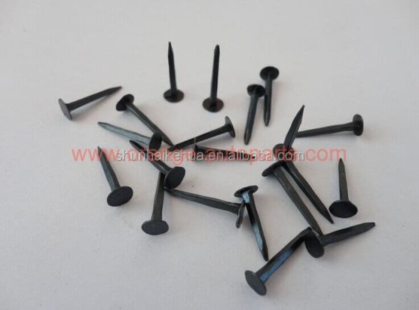 China Manufacturer Factory Price Of Five Star Carpet Tack Nail For Furniture