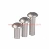 China Manufacturer Rivet Manufacturer Stainless Steel Round Head Aluminum Solid Rivets