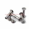 China Manufacturer Rivet Nickel Plated Bolt Chicago Account Screw Book Binding Post Screws