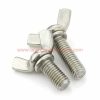 China Manufacturer Ss304 Din 316 Butterfly Bolt Wing Bolts